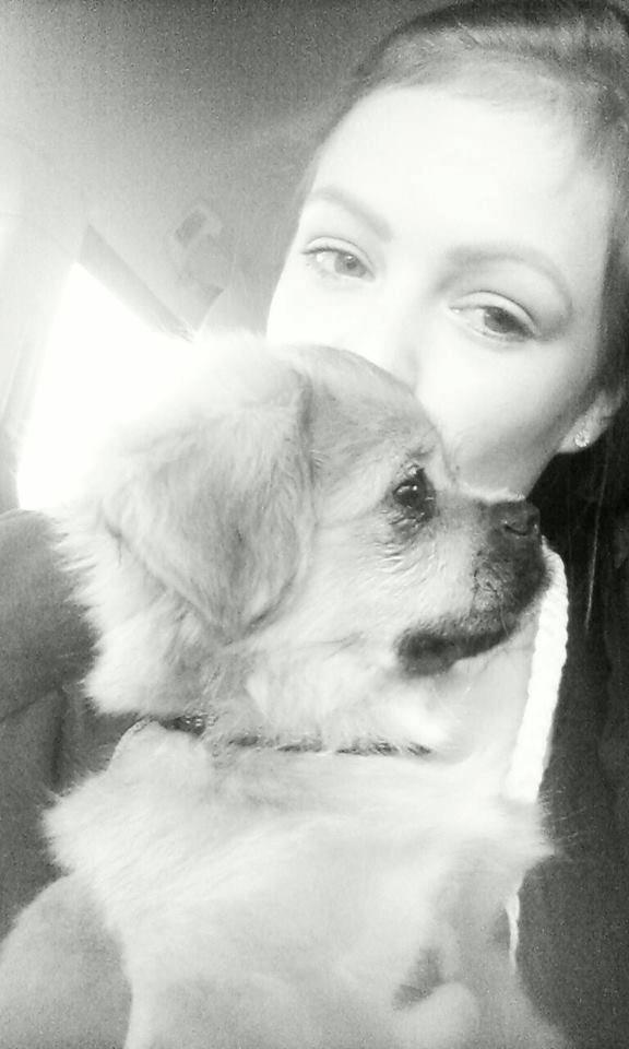 Tibetansk spaniel Albert. - Mors hund <3 billede 6