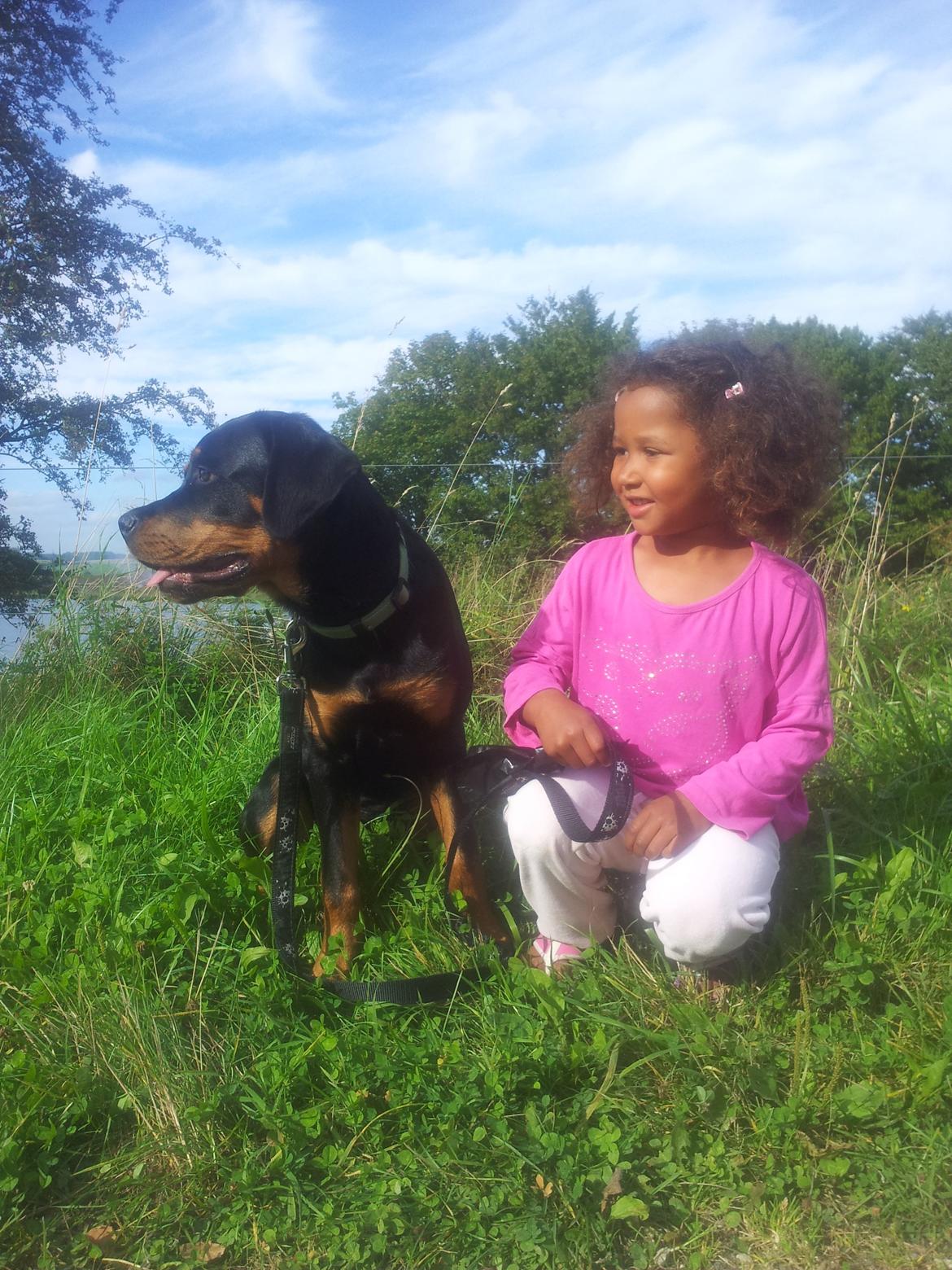 Rottweiler Jackie - Jackie og hendes smukke veninde! <3 billede 4