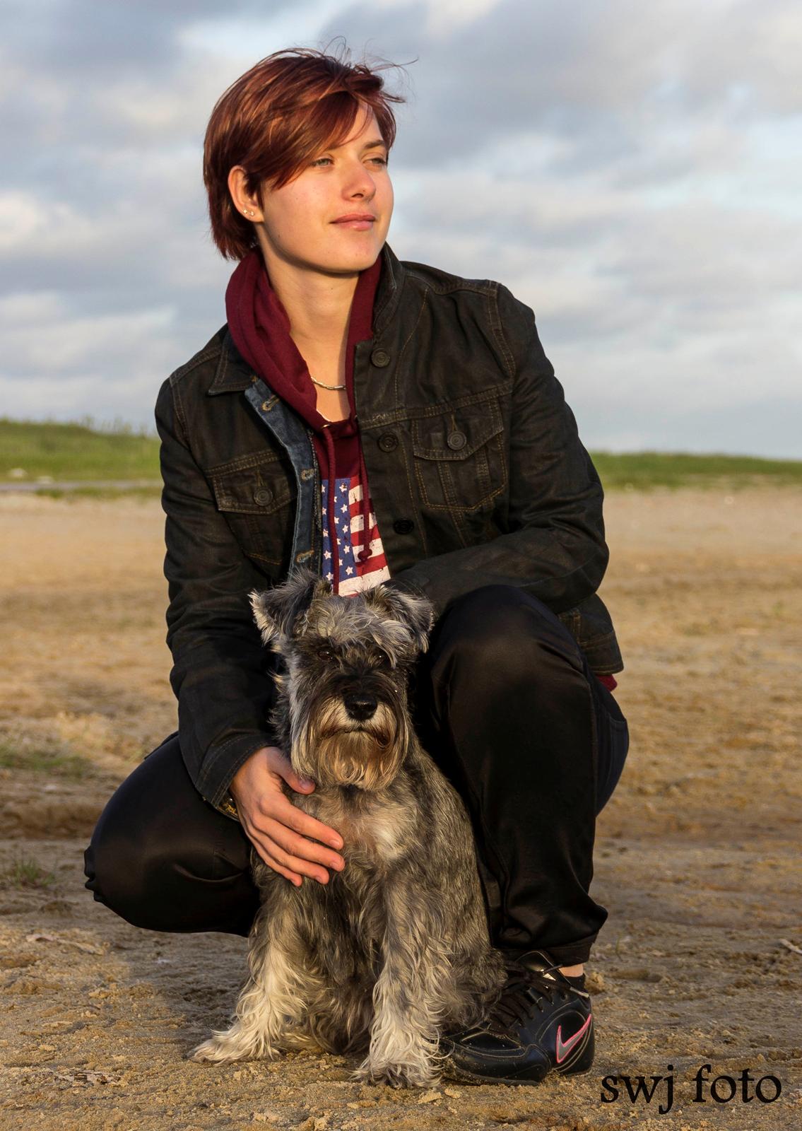 Dvaergschnauzer tulle billede 1