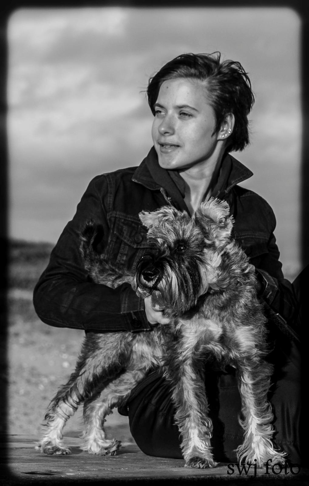 Dvaergschnauzer tulle billede 19