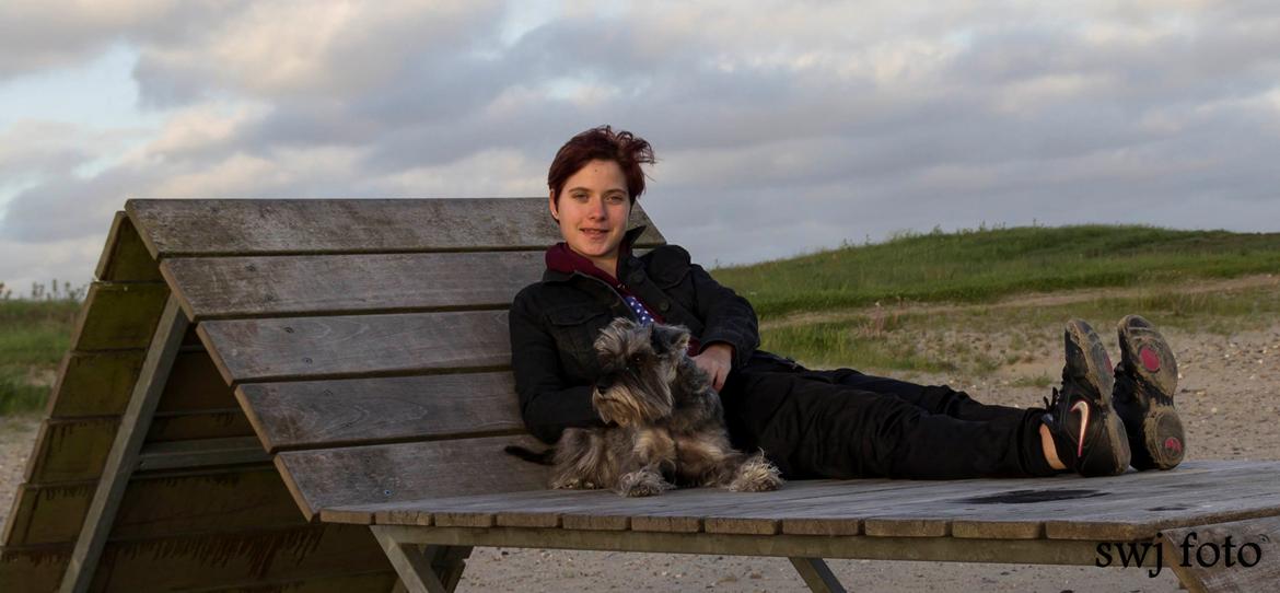 Dvaergschnauzer tulle billede 14