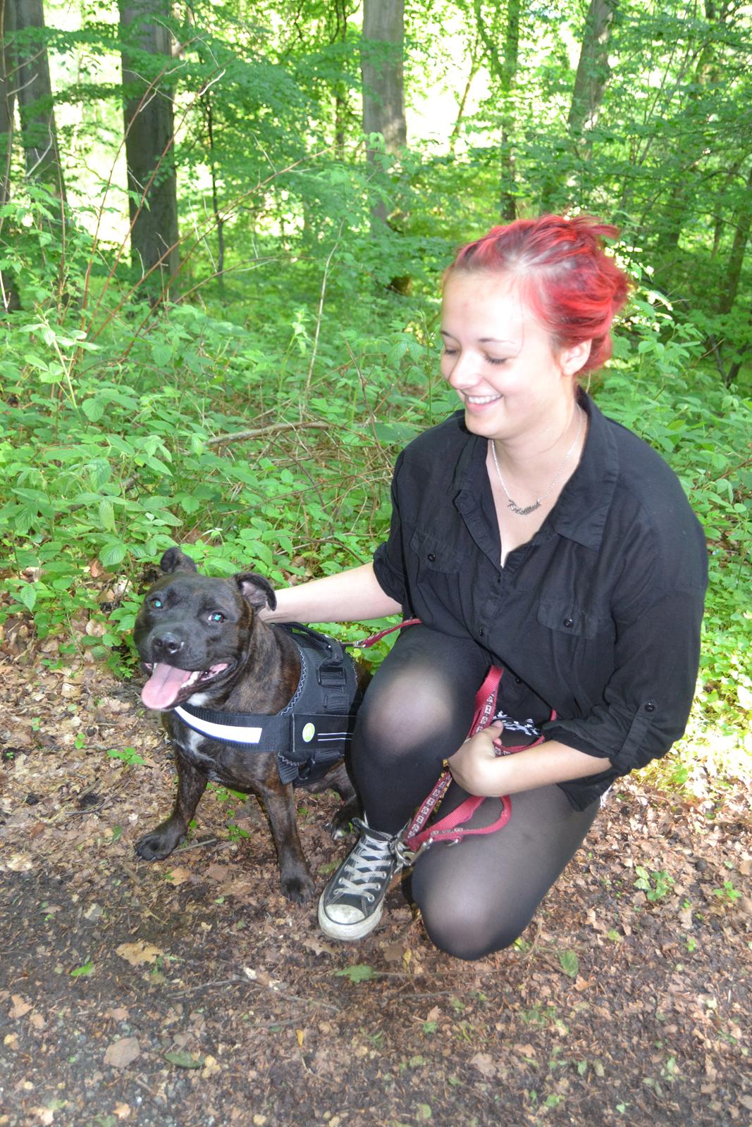Staffordshire bull terrier Lady Step - Mig og Lady i skoven billede 3