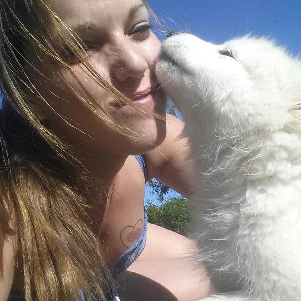 Samojedhund Mille billede 4