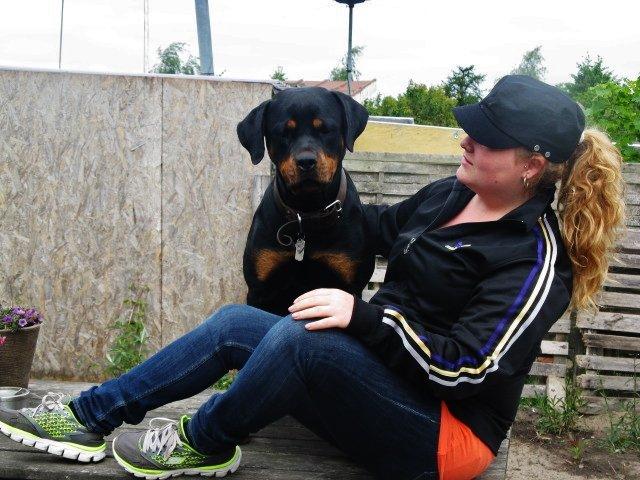 Rottweiler Jackie billede 8