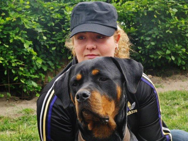 Rottweiler Jackie billede 10