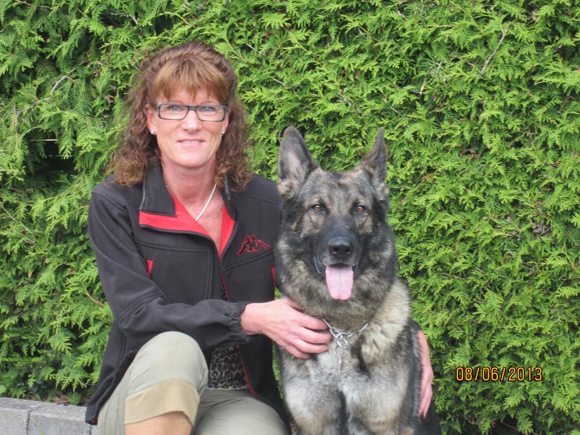 Schæferhund Kochens Jazz - Jazz juni 2013 billede 2