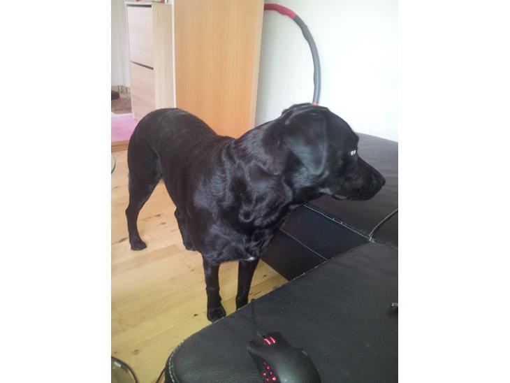 {{currentPhoto.altText}} billede {{currentPhoto.number}}