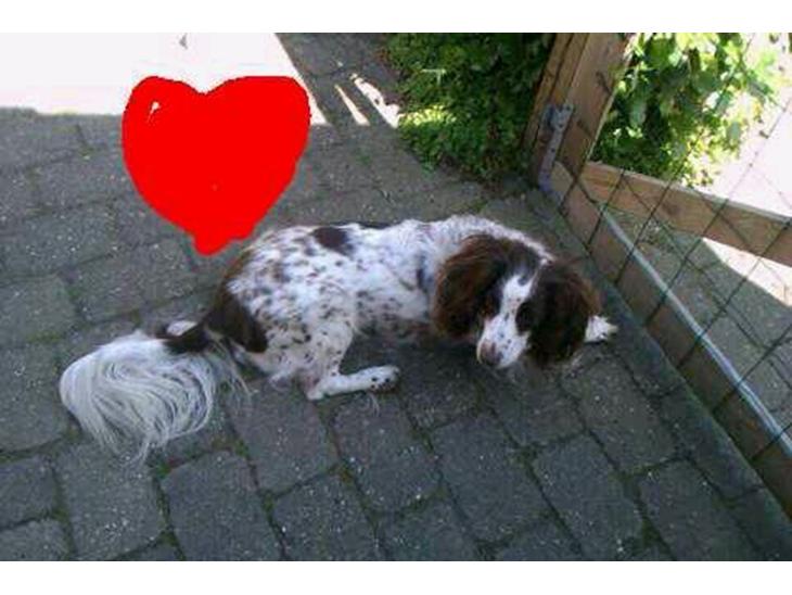 {{currentPhoto.altText}} billede {{currentPhoto.number}}