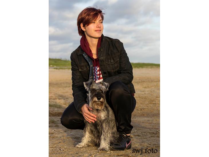 Dvaergschnauzer tulle billede 1
