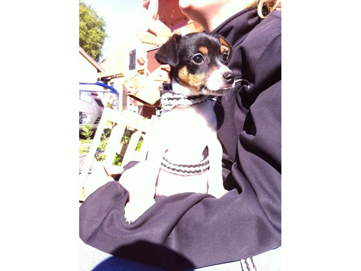 {{currentPhoto.altText}} billede {{currentPhoto.number}}