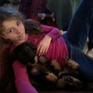 Gravhund Lajtinen's Yade Zafira