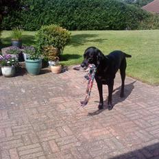 Blanding af racer Charlie <3