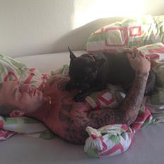 Fransk bulldog Fiona <3