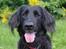 Blanding af racer Tess - 09/06/2013
