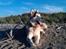 Alaskan malamute Ricky - Knap 6 år, ved stranden nær vores hus 