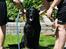 Schæferhund King - Et lille bad i sommervejret :)