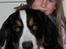 Berner sennenhund maisie - mig og Maisie