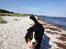 Berner sennenhund maisie