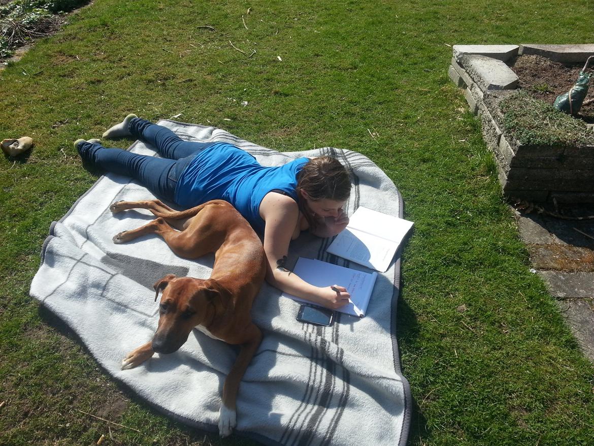 Blanding af racer Ganges aka Ganja - Altid hyggeligt at ligge i haven, når det er med godt selskab! billede 9