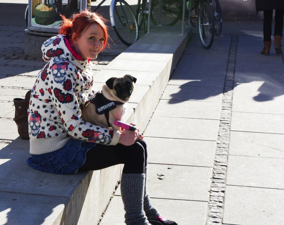 Mops Sally billede 6