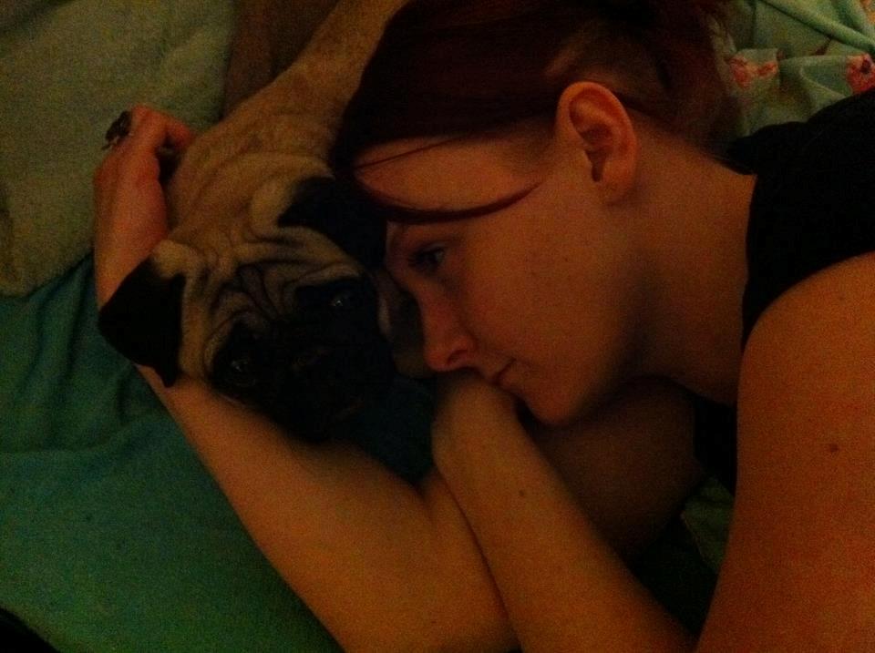 Mops Sally billede 7