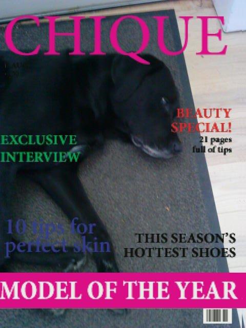 Blanding af racer Charlie <3 billede 5