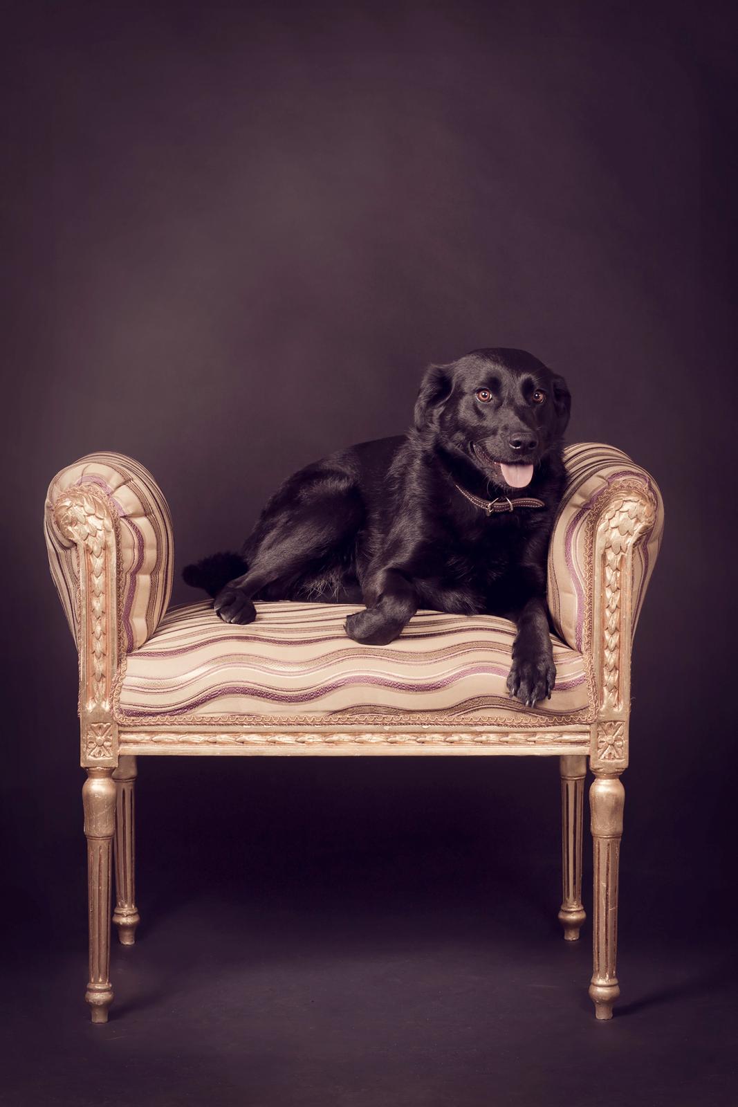 Blanding af racer Keiko billede 18