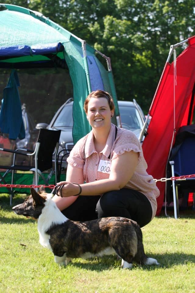 Welsh corgi cardigan Faarup Nixon - Nixon blev BIM ved WCK udstillingen i Boller den 1.juni 2013. Foto: Mikkel S. Jensen billede 19