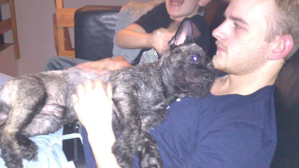 Blanding af racer Oscar Ozzy Osmand - Sådan her ligger han altid når min kæreste er på besøg billede 8