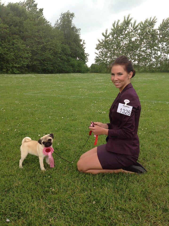 Mops Madums Pretty Woman (Thea) billede 1