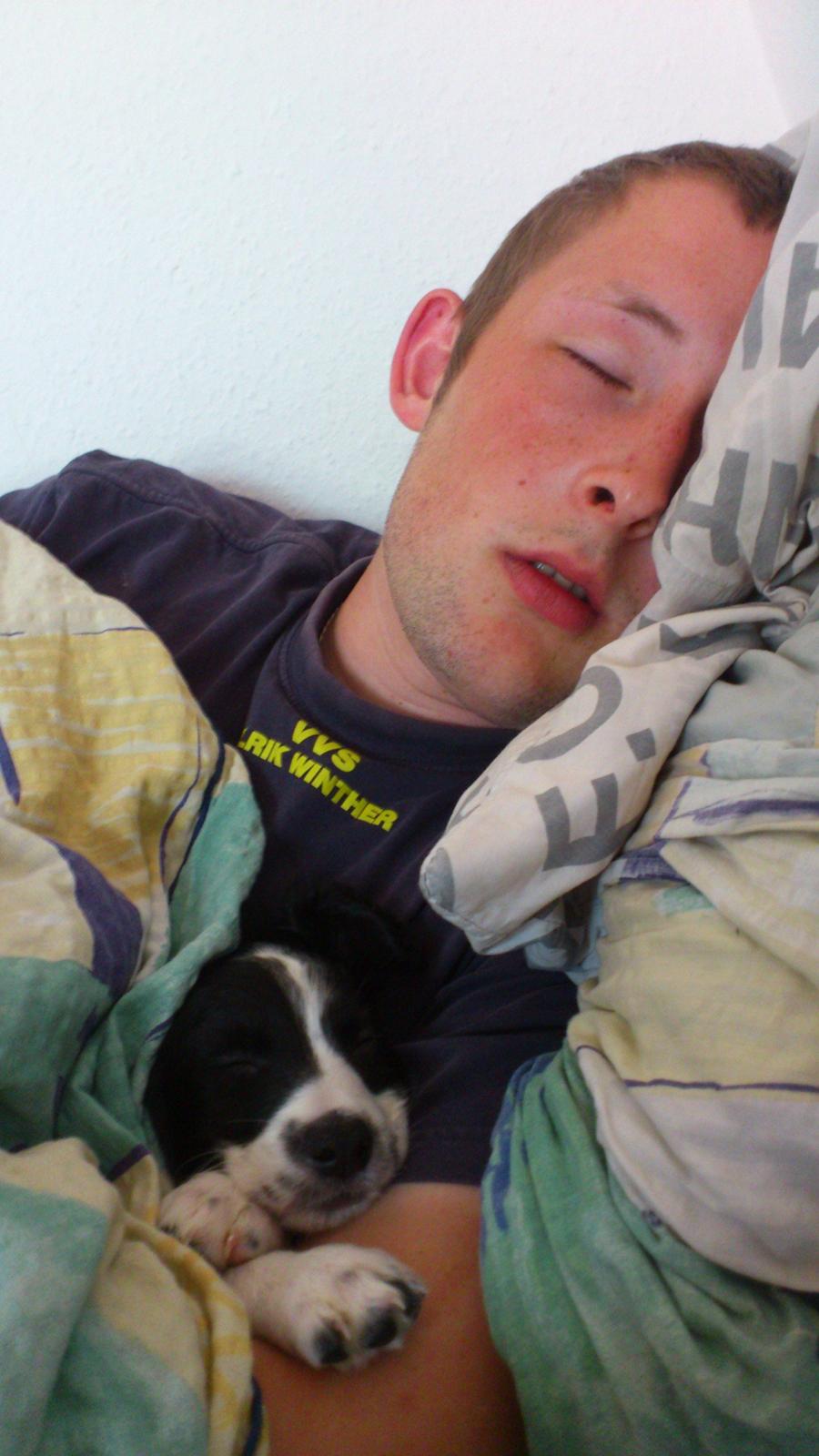 Blanding af racer Eddie Aka dynedyret billede 3