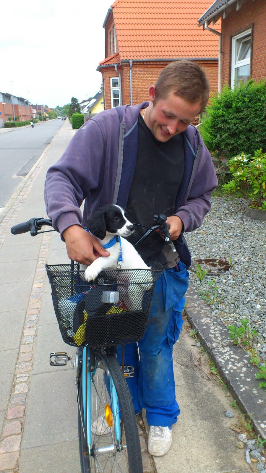 Blanding af racer Eddie Aka dynedyret billede 5