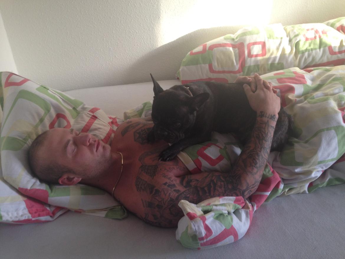 Fransk bulldog Fiona <3 billede 2