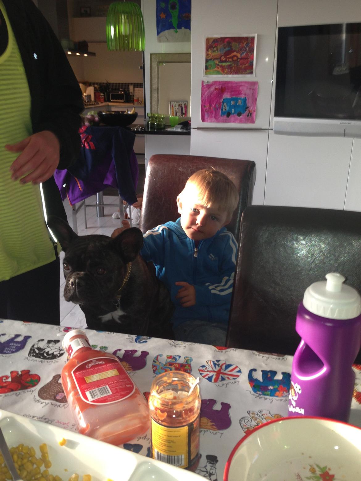 Fransk bulldog Fiona <3 billede 8