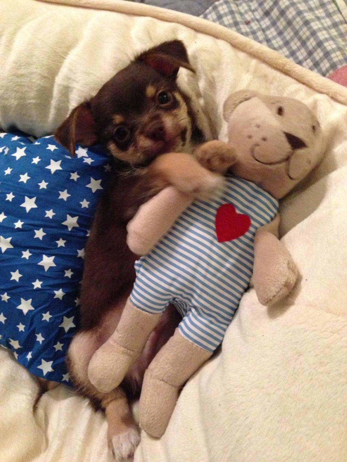 Blanding af racer Tarzan billede 8