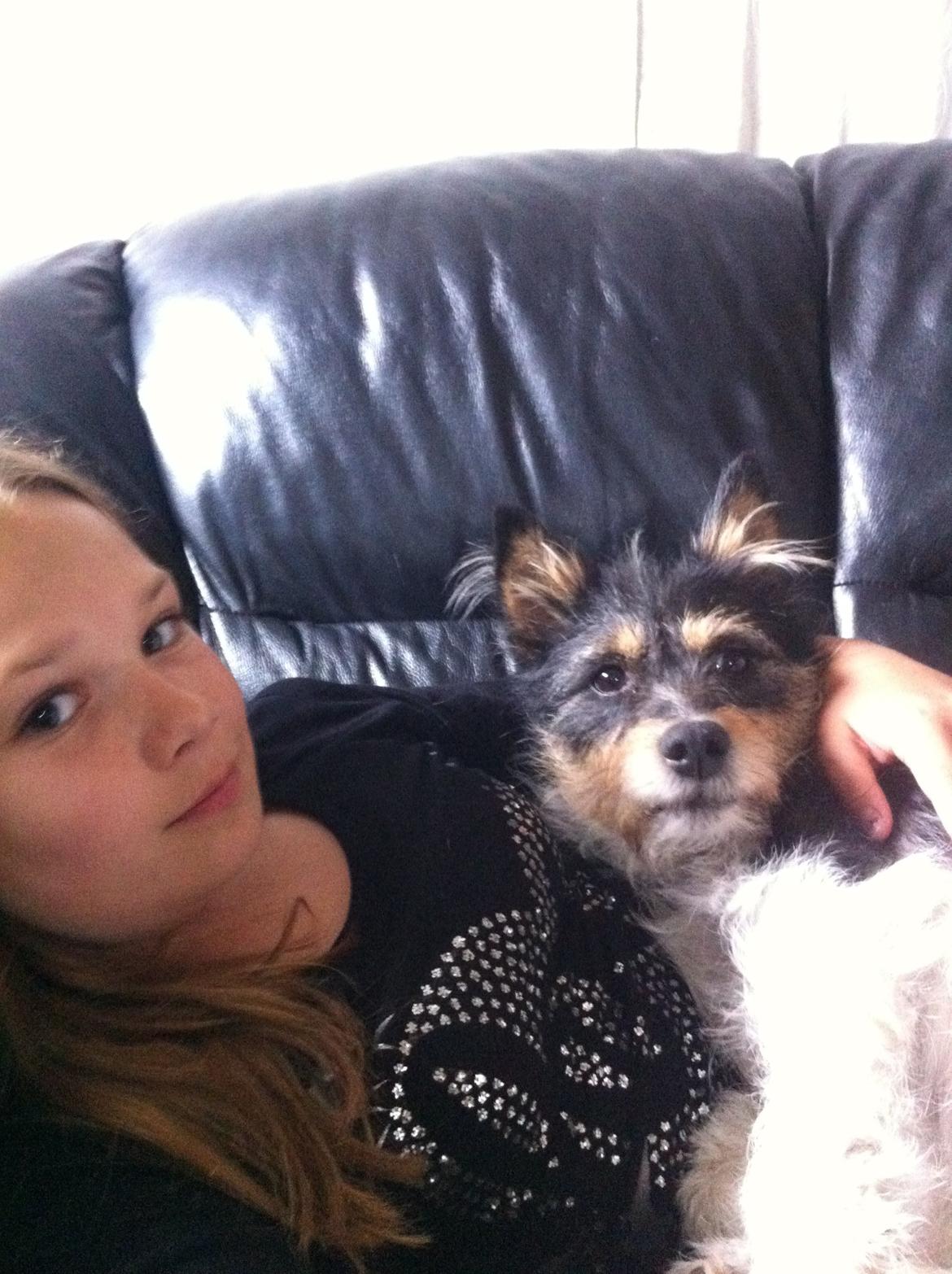 Blanding af racer Mille billede 17