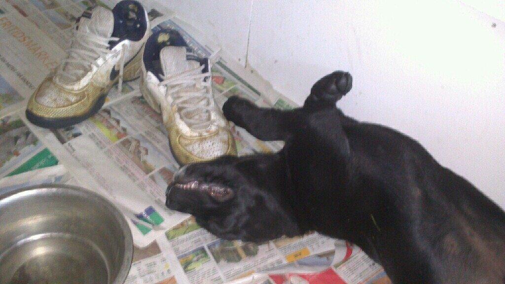 Blanding af racer king billede 5