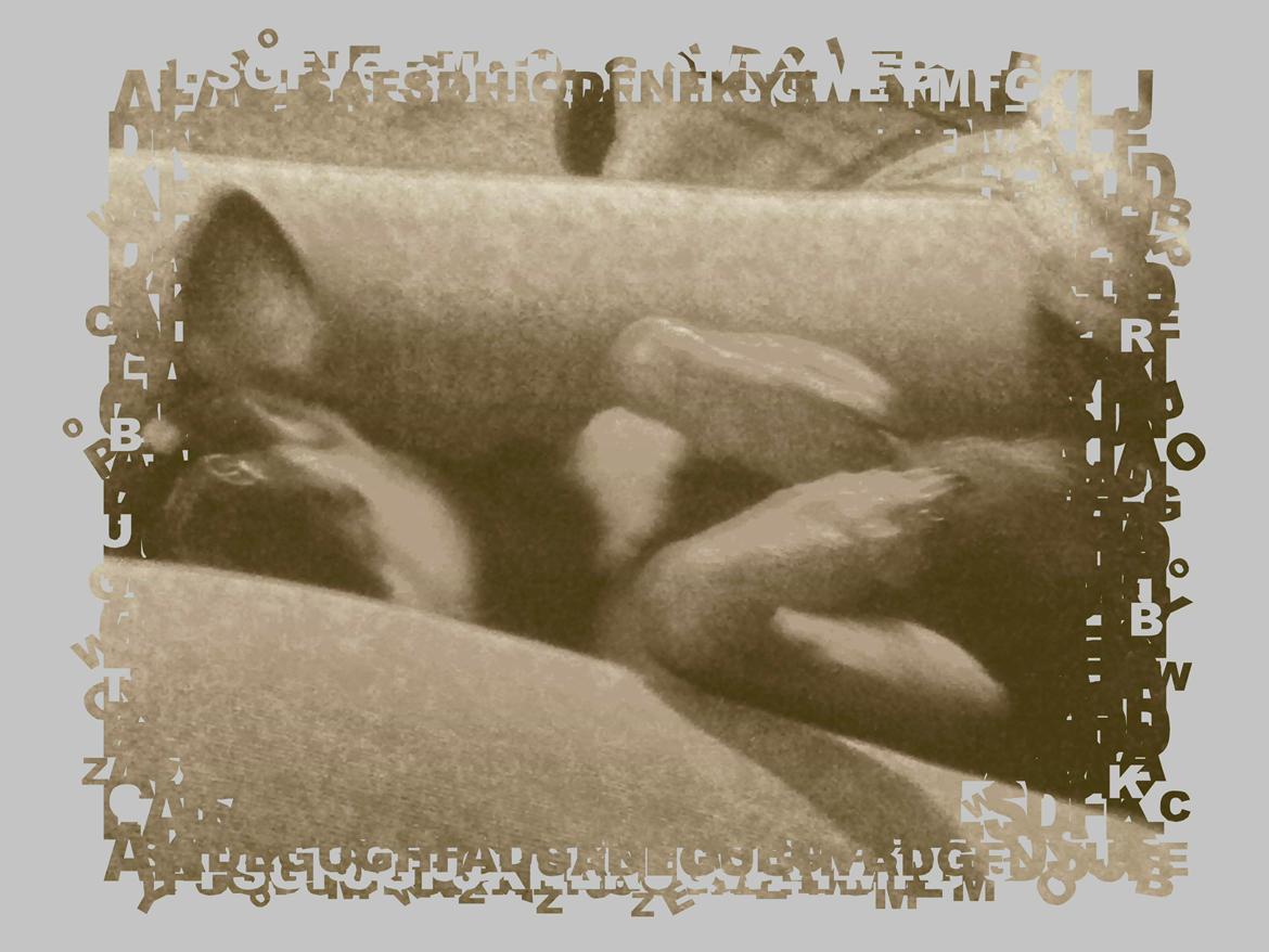 Chihuahua fie billede 8