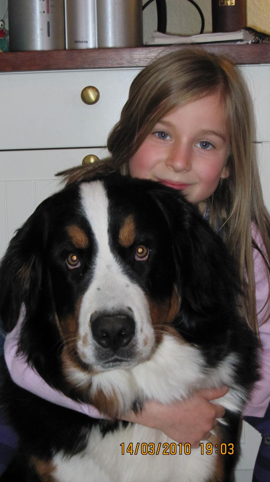 Berner sennenhund maisie - mig og Maisie billede 4