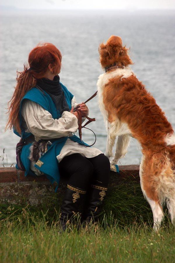 Borzoi - Kashmir 'Wild wind of Russia' billede 32