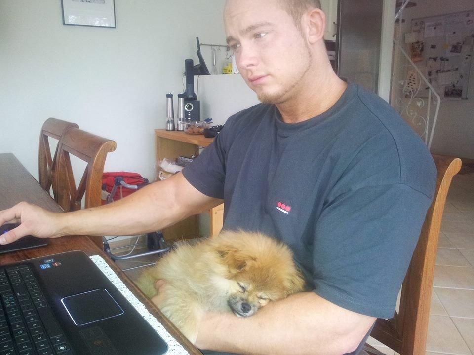 Pomeranian Basse - Basse putter med far billede 2