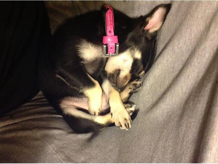 {{currentPhoto.altText}} billede {{currentPhoto.number}}