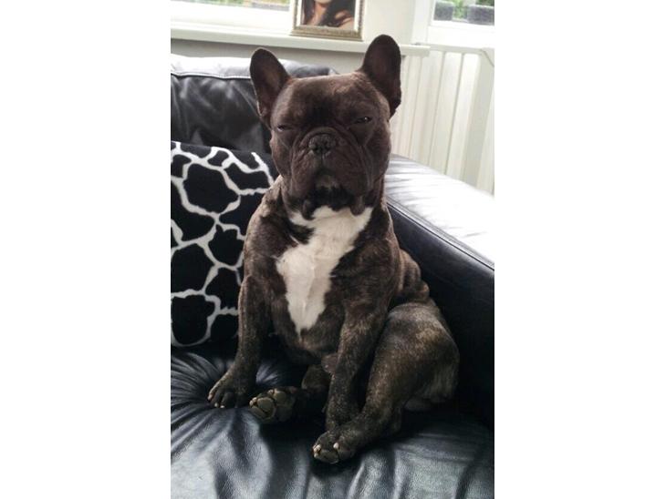 {{currentPhoto.altText}} billede {{currentPhoto.number}}