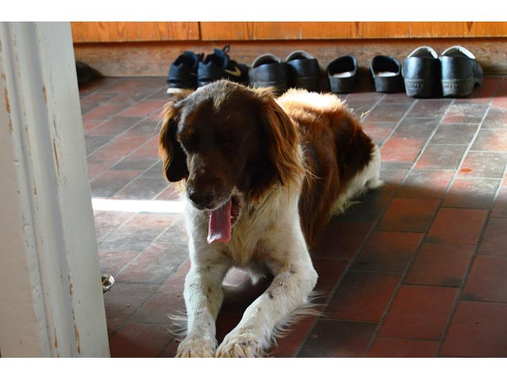 {{currentPhoto.altText}} billede {{currentPhoto.number}}