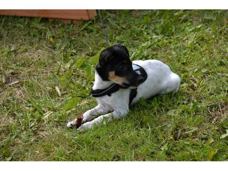 {{currentPhoto.altText}} billede {{currentPhoto.number}}