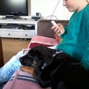 Blanding af racer Bastian