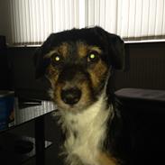 Blanding af racer Mocca