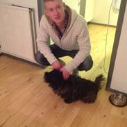 Blanding af racer Freja