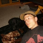 Curly coated retriever Chilli