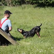 Blanding af racer Oskar